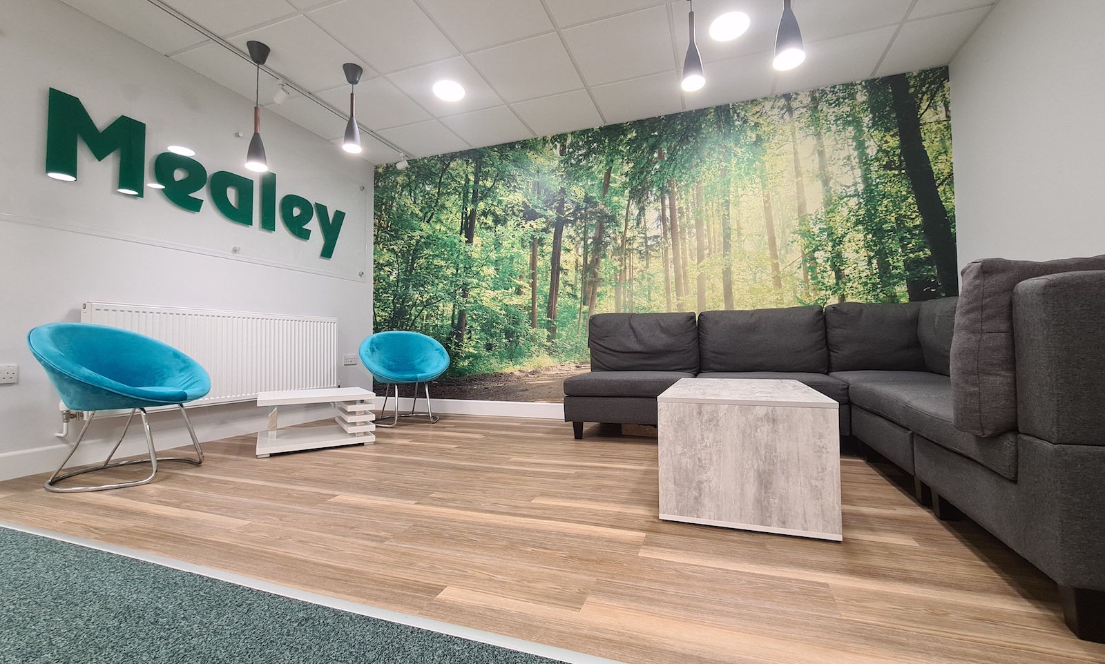 Mealey Projects office interior